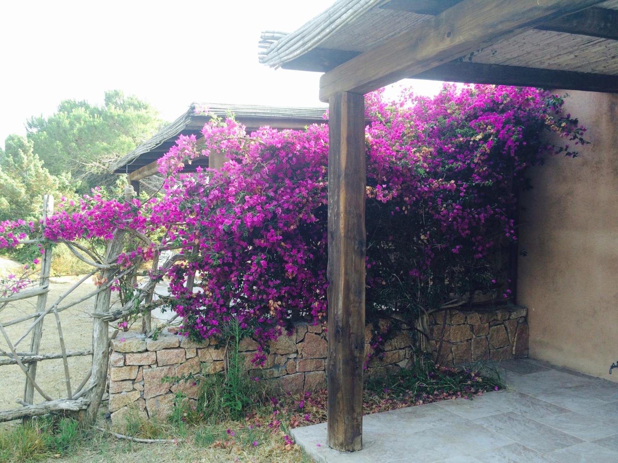 Villa Baia Santa Reparata Santa Teresa Gallura Exterior photo